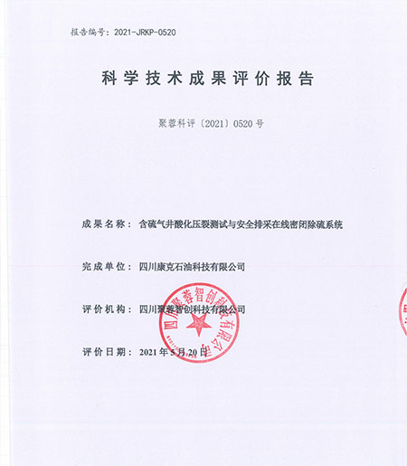 在线除硫系统成功通过科学技术成就评价