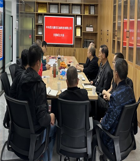 中共XKTY.COM党支部正式成立